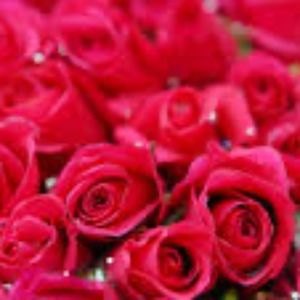 Meet your Posher, Ficege